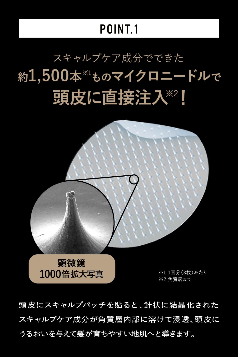 Amazon | 【公式】fasa(ファーサ) スペシャルケアセット [ スキャルプ